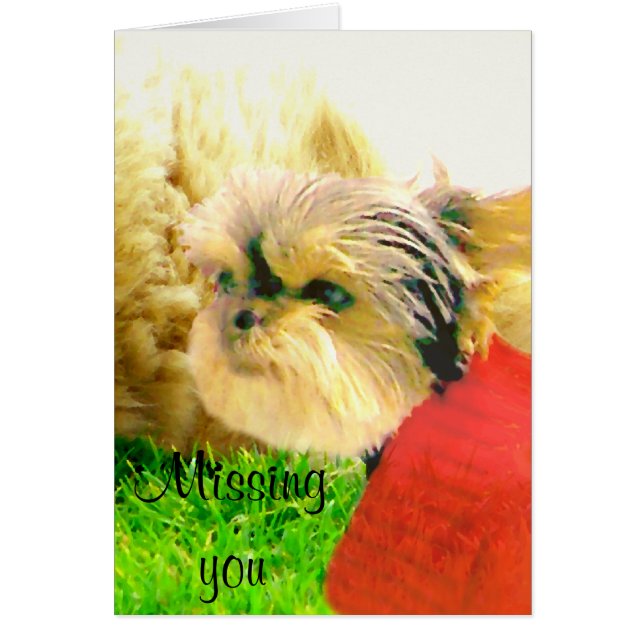 Amor y cuidado, perros_ (Frente)