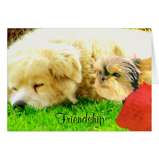 Amor y cuidado, perros_ (Anverso (Horizontal))