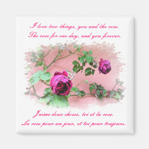 Amor y imán de los rosas