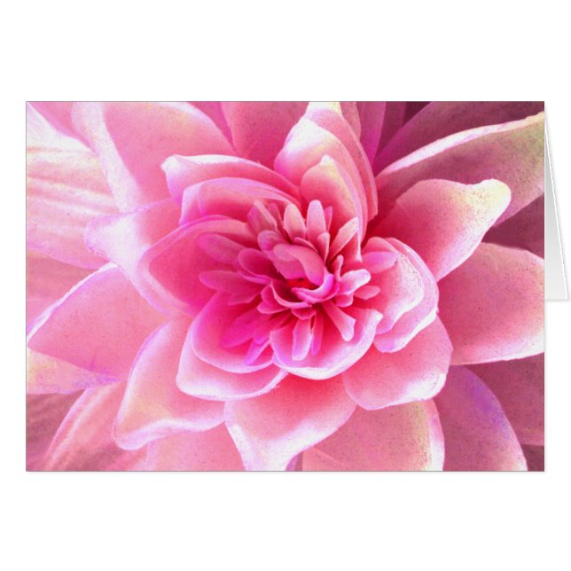 Amor y pasión_ (Anverso (Horizontal))