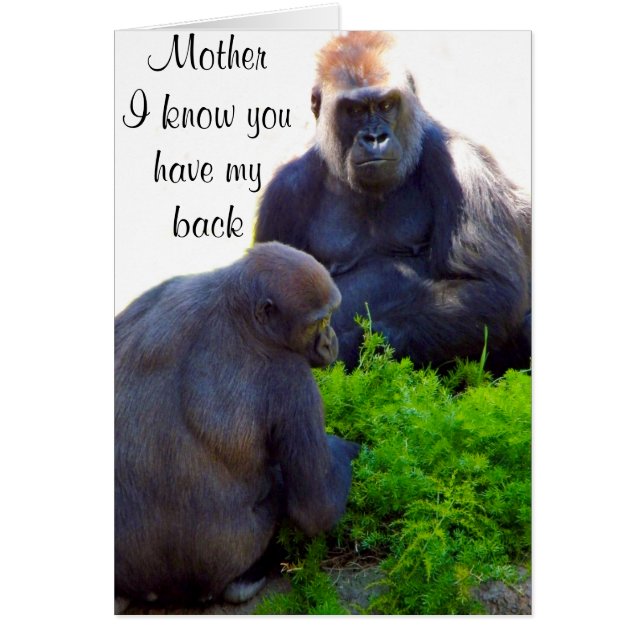 Amor y protección_ (Frente)