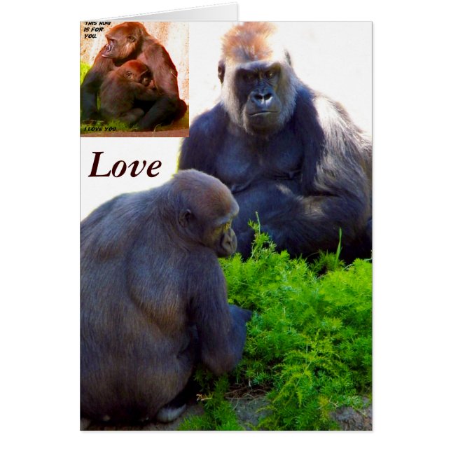 Amor y protección_ (Frente)