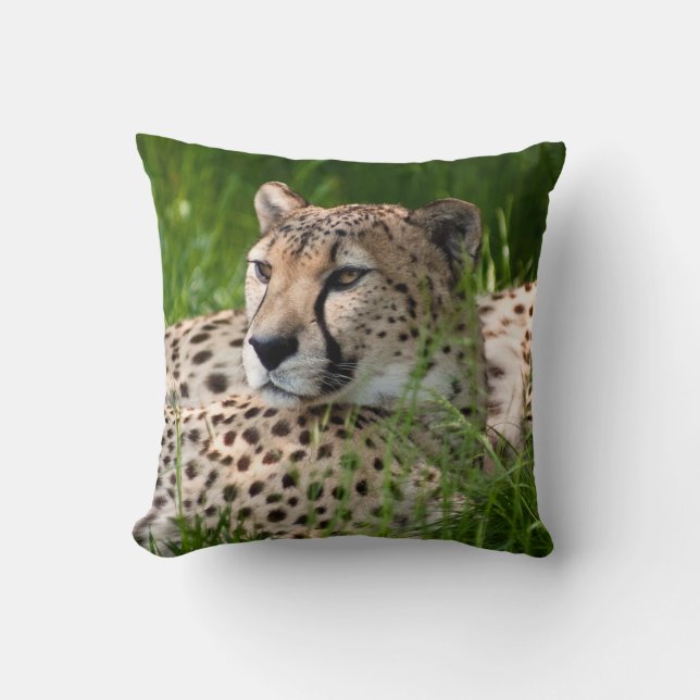 AMORTIGUADOR DE LA ALMOHADA DEL GUEPARDO (Anverso)