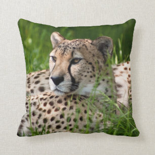 AMORTIGUADOR DE LA ALMOHADA DEL GUEPARDO