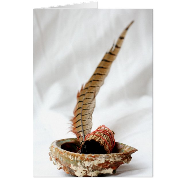 Amortización (Frente)