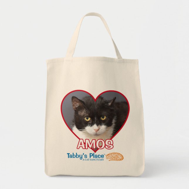 Amos - La bolsa de asas del ultramarinos del (Frente)