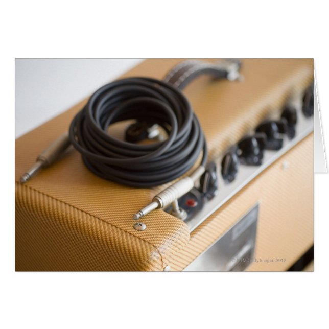 Amp y cable (Anverso (Horizontal))