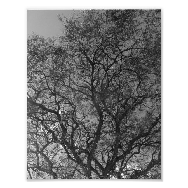 Ampliación de Foto (Frente)