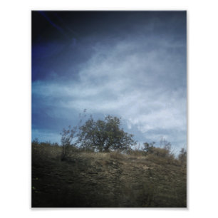 Ampliación de Foto
