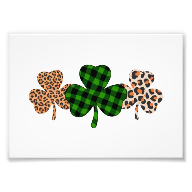 Ampliación de Foto (Frente)