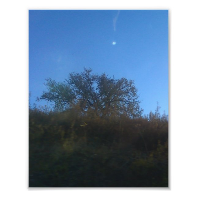 Ampliación de Foto (Frente)