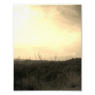 Ampliación de Foto