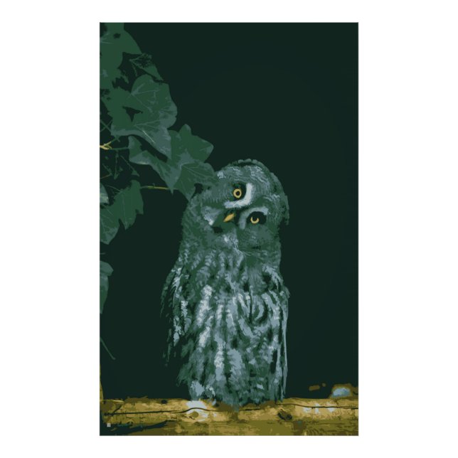 Ampliación de Foto de Búho Gris Grande (Frente)