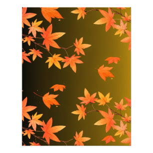 Ampliación de Foto de Hojas de Arce de Otoño – Trí