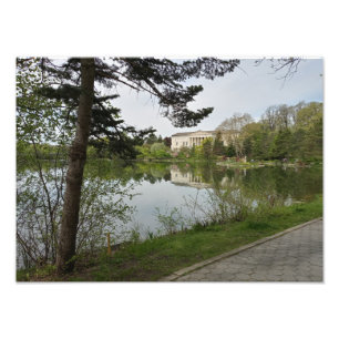 Ampliación de foto del jardín japonés