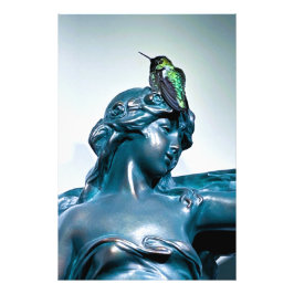Ampliación de foto vista de colibrí
