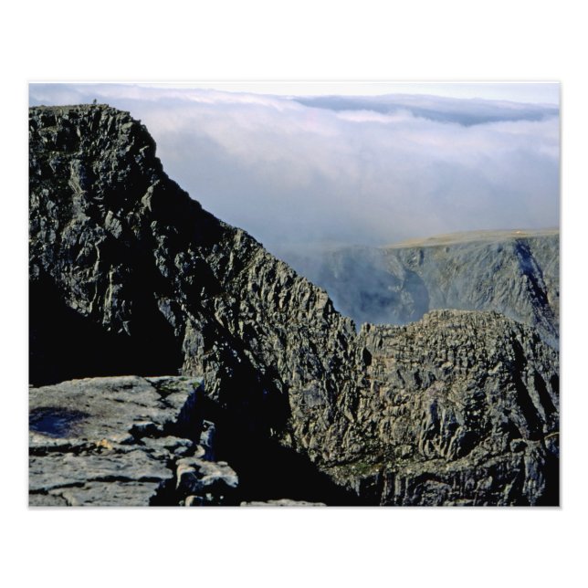 Ampliación de la foto (Frente)