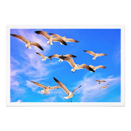 Ampliación de la foto