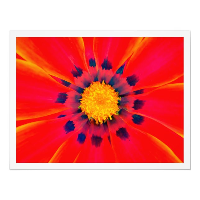 Ampliación de la foto (Frente)