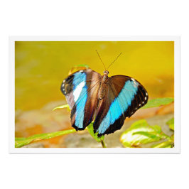 Ampliación de la foto