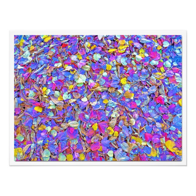 Ampliación de la foto (Frente)