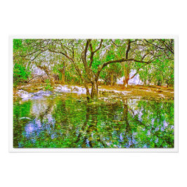 Ampliación de la foto