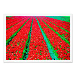 Ampliación de la foto