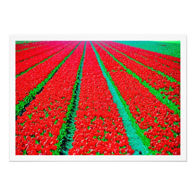 Ampliación de la foto (Frente)