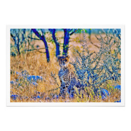 Ampliación de la foto