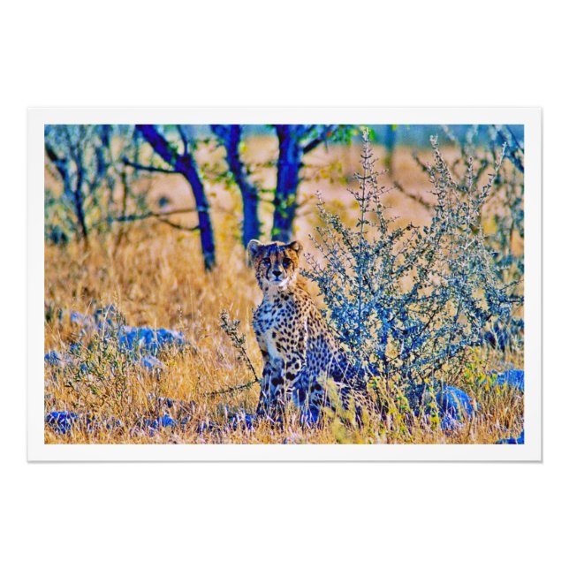 Ampliación de la foto (Frente)