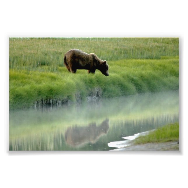 Ampliación de la foto (Frente)