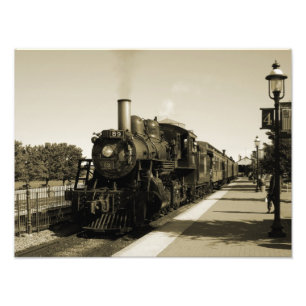 Ampliación de la foto