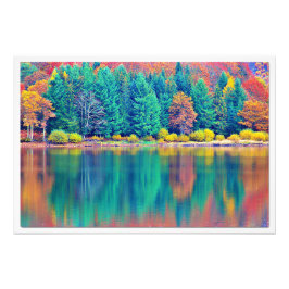 Ampliación de la foto