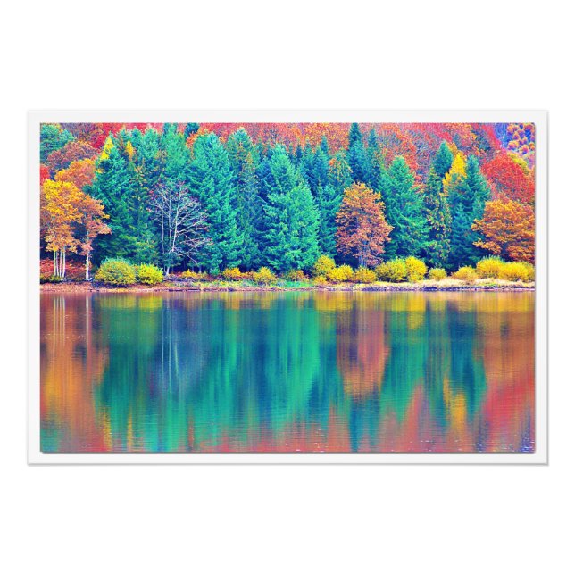 Ampliación de la foto (Frente)