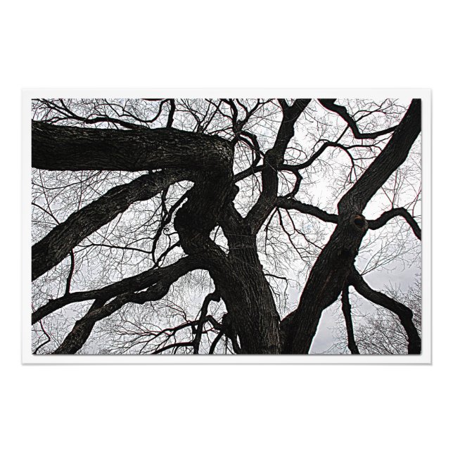 Ampliación de la foto (Frente)