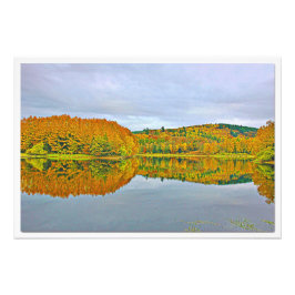 Ampliación de la foto