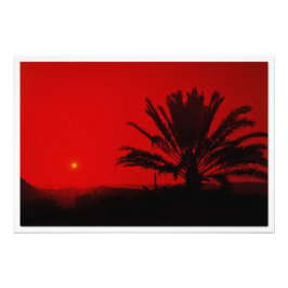 Ampliación de la foto