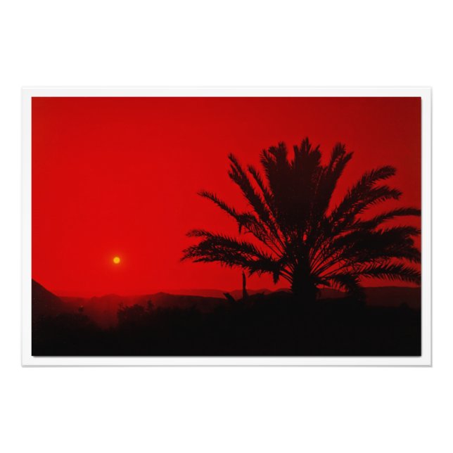 Ampliación de la foto (Frente)