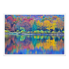 Ampliación de la foto