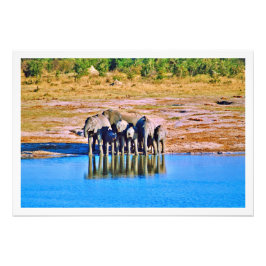 Ampliación de la foto