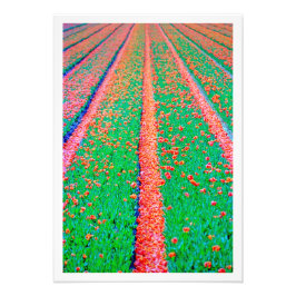 Ampliación de la foto