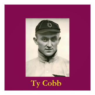 Ampliación de la foto