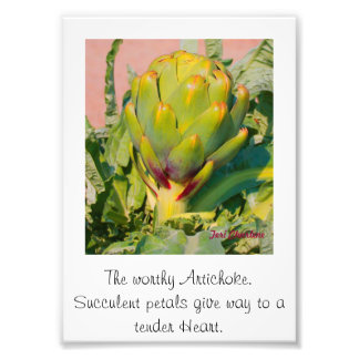 Ampliación de la foto