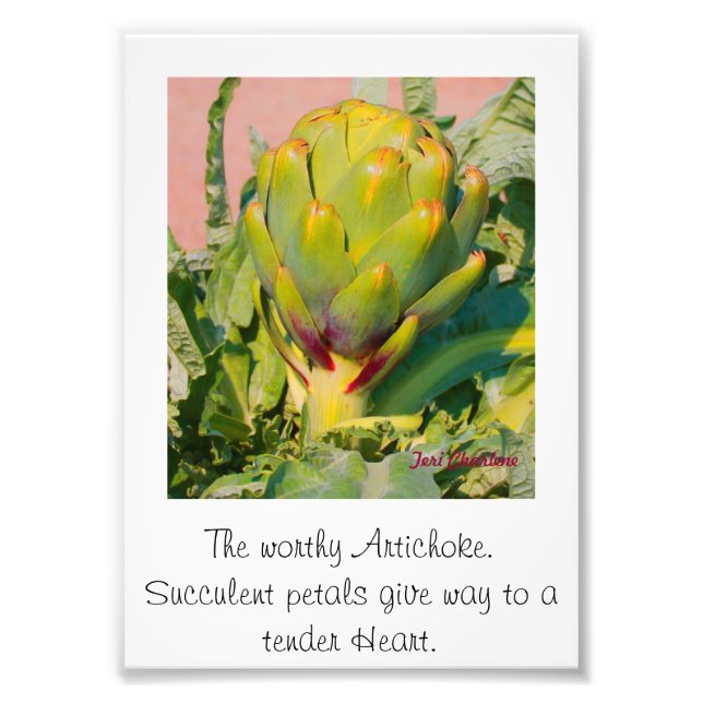 Ampliación de la foto (Frente)