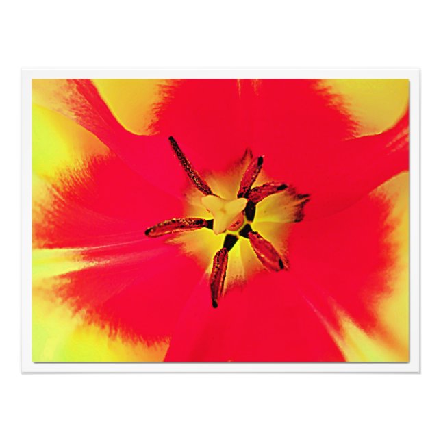 Ampliación de la foto (Frente)