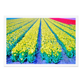 Ampliación de la foto