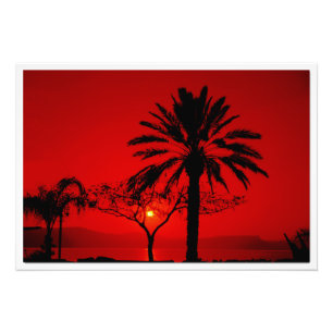 Ampliación de la foto