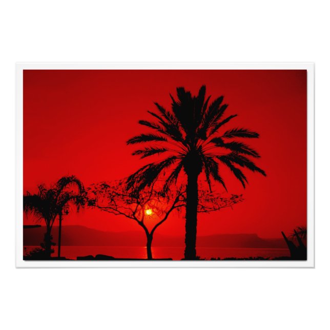 Ampliación de la foto (Frente)