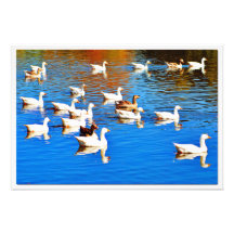 Ampliación de la foto