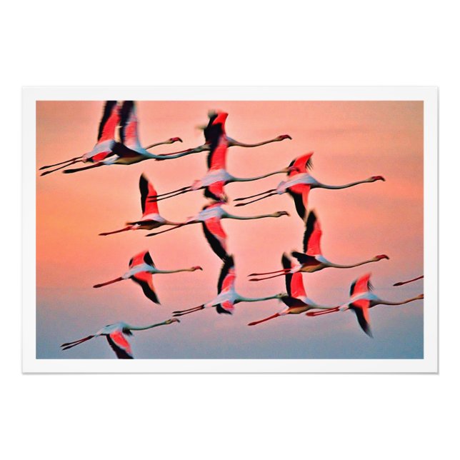 Ampliación de la foto (Frente)